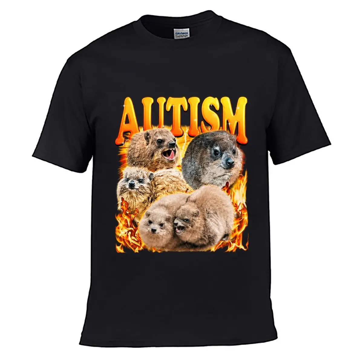 Autism Rock Hyrax Group Surrounded By Flames Graphic Street Loose Simple Tee