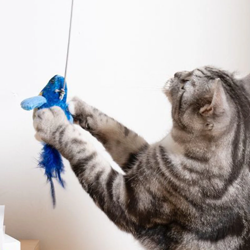 Juguete interactivo de pájaro de simulación, divertido palo para gato, pluma peluda, palo para gato, juguete resistente a mordeduras, juguete para rascar gatos, suministros para mascotas