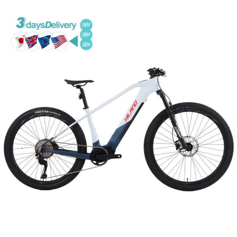 29-Inch 9-Speed Hydraulic Disc Brake Customizable OBM 2025 New Model Electric Mountain Bike