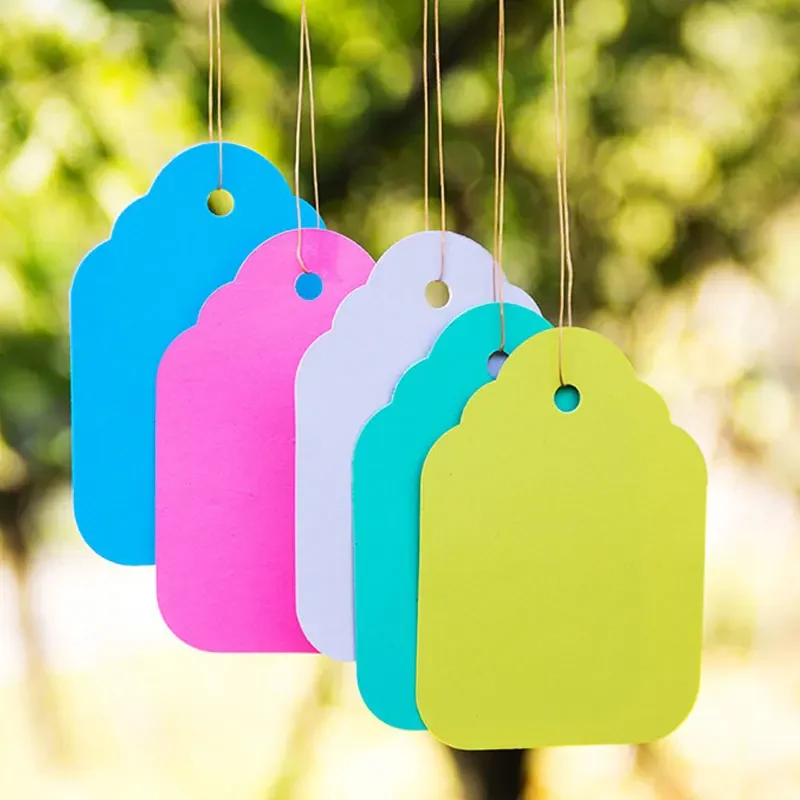 100pcs Plant Labels With Rope PVC Plants Hanging Tag Hanging Tags Flower Pot Marker Signs Garden Decoration Gardening Tool