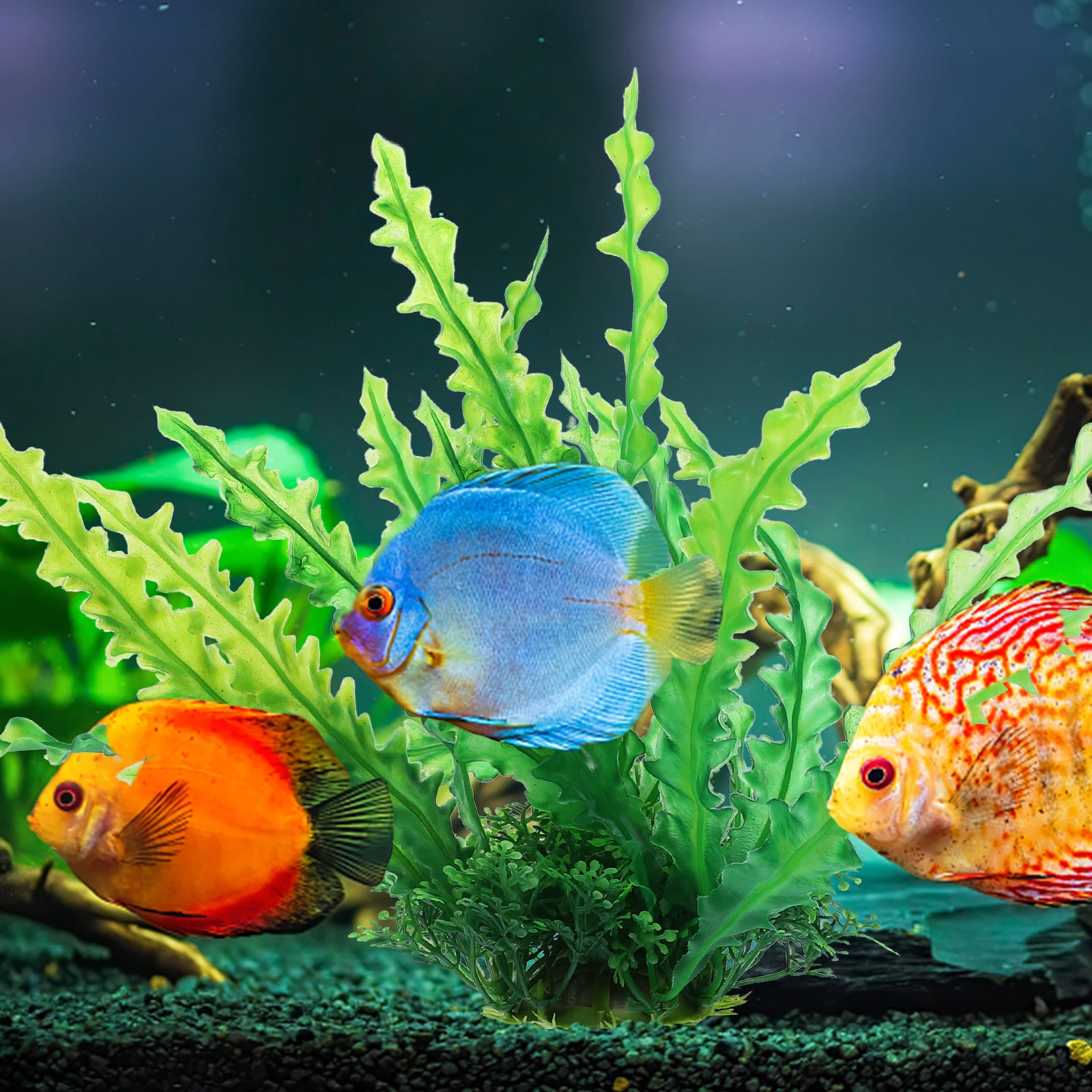 

2Pcs Artificial Aquarium Water Grass Fish Tank Plant Decor Small Fake Fish Tank Supplies Fishtank Decorations Fake Grass Decor
