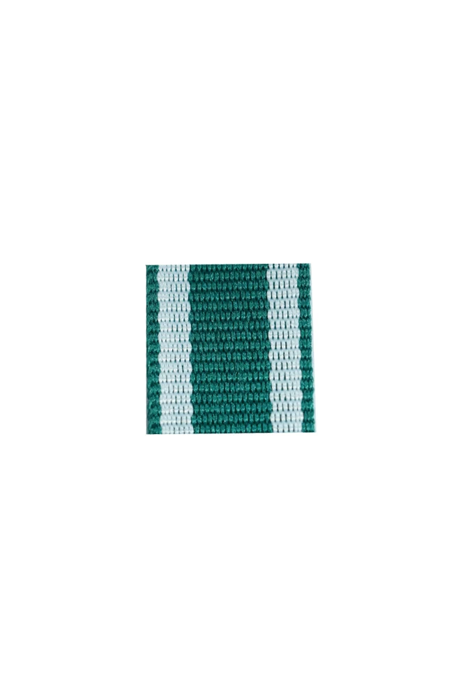 

GMKA-114 WWII German Saxony Meiningen Rescue medal ribbon bar's ribbon