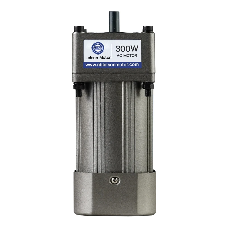 Motoriduttore CA 250W 220V Controllo velocità Motore CA sincrono trifase a magneti permanenti Equivalente 300W