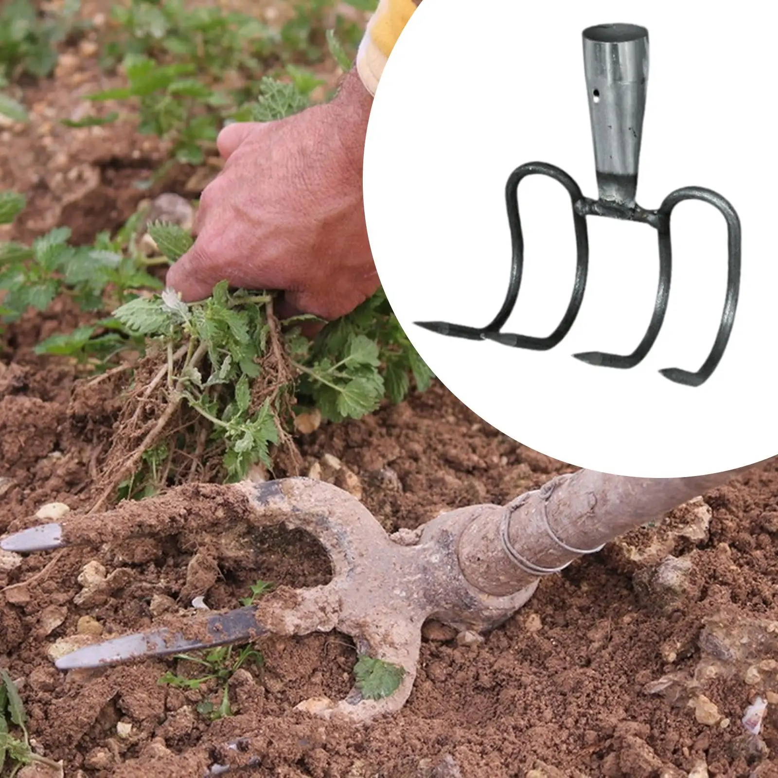 Testa per rastrello da giardino Manutenzione del cortile resistente Strumento da giardino multiuso per rastrello a foglie per progetti fai-da-te Coltivazione del cortile di giardinaggio agricolo