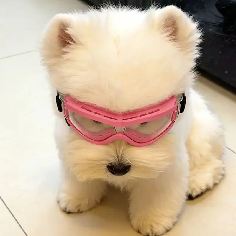 Dog Goggles for Small Medium Dogs UV Protection Windproof Pet Sunglasses Adjustable Strap Puppy Eye Protection Glasses - view 6