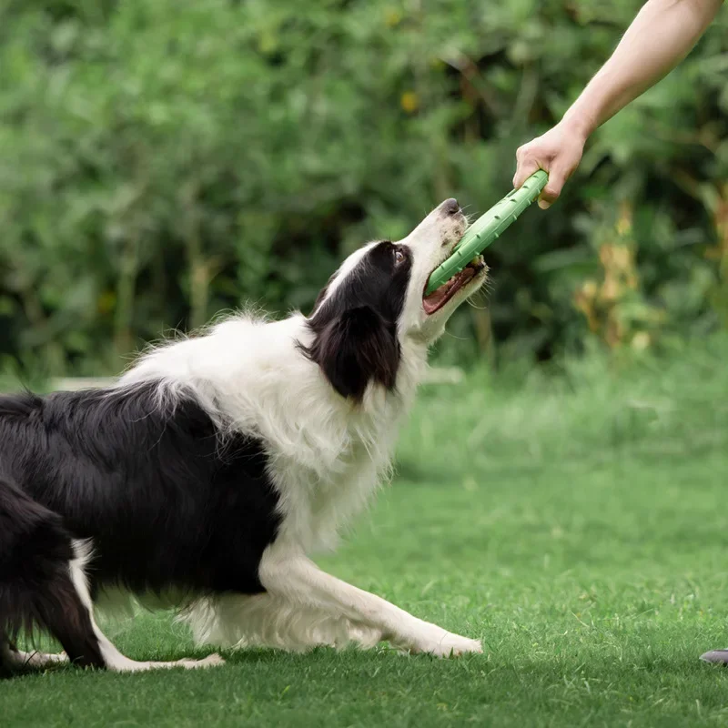 Thumbnail 4 - #2 Trending Puppy Fetch Toys Right Now