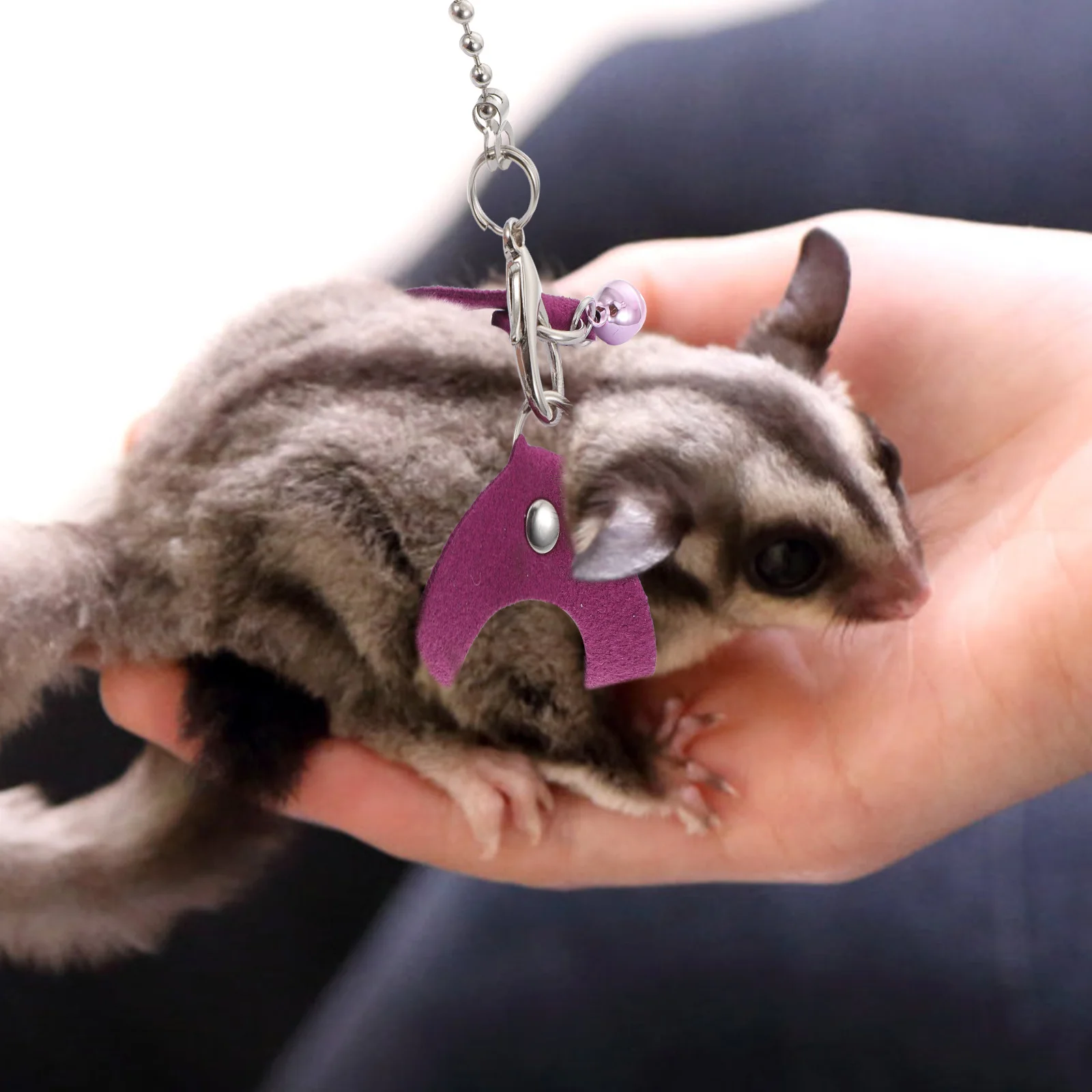 

Pet Sugar Glider Leash Harness Adjustable Traction Rope for Small Pets Purple Color Lightweight Compact Size Suitable Most Sugar