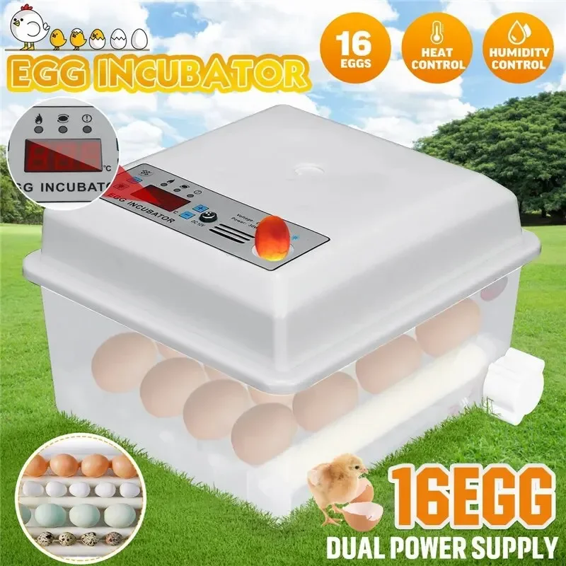 

Eggs Incubator Double Power 110V/220V Brooder Hatchery Automatic Incubator Poultry Chicken Duck Goose Bird Quail Egg Hatchers