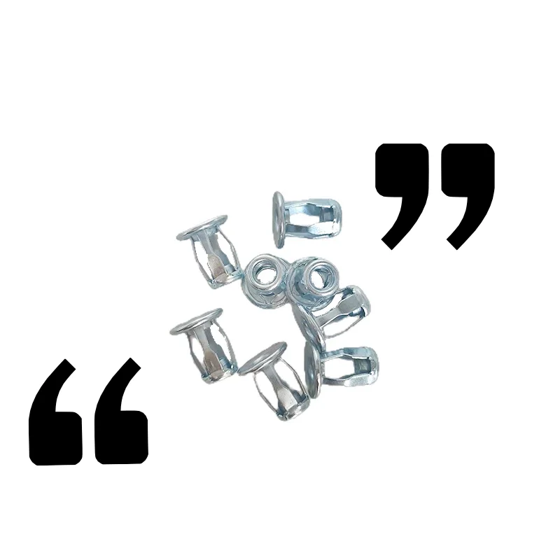 M4 M5 M6 M8 Galvanized Carbon Steel Jack Nuts Petal Rivet Lock Nut Metal Expansion Nut Rivets Fixed Nut For Hollow Wall Rivet