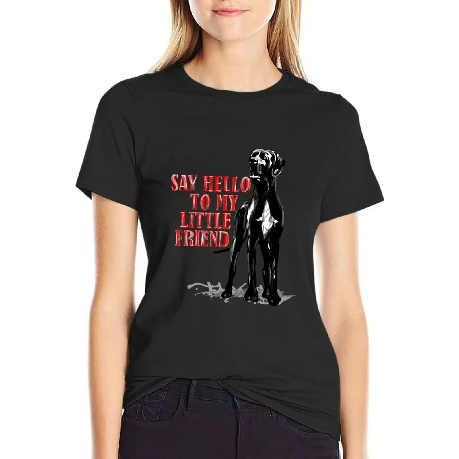 

Say Hello to my Great Dane, it's my friend T-Shirt lady clothes heavyweights vintage summer clothes Women's tee shirt