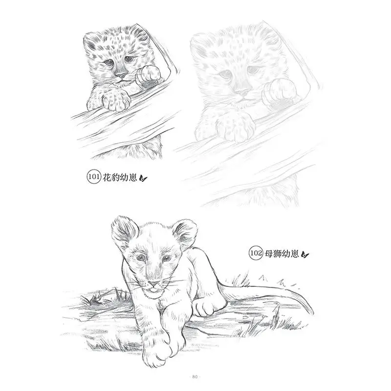 Sketch Of 100 Kinds Of Animals Line Drawing Copy Album Zero Basic Sketch Course Drawing Art Book