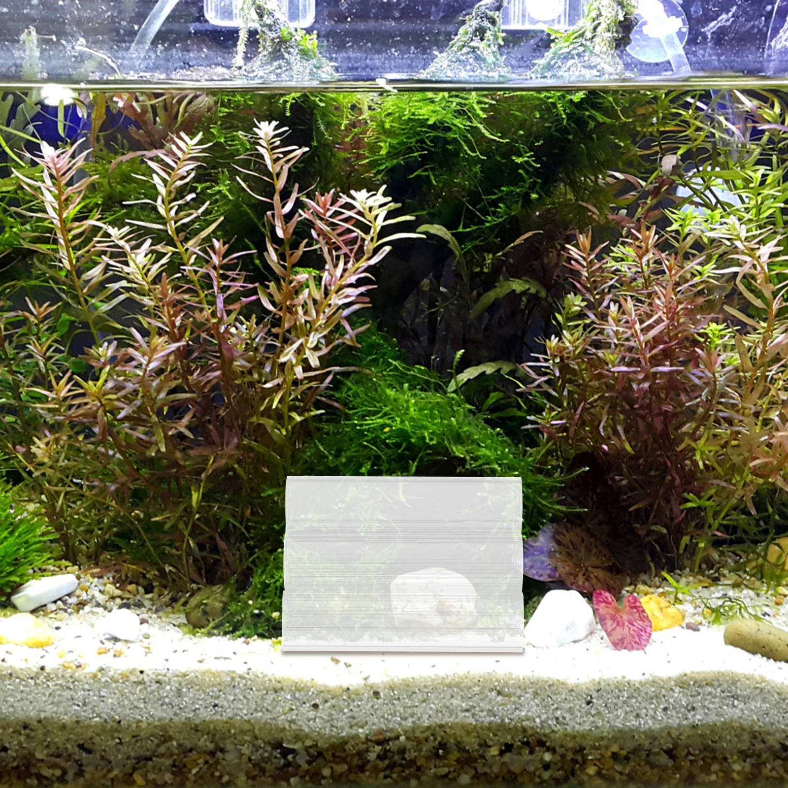 

Transparent Shrimp Habitat Aquarium Decorative Breeding Tube Fish Tank Accessory Acrylic Cave Hideout Mini Plants