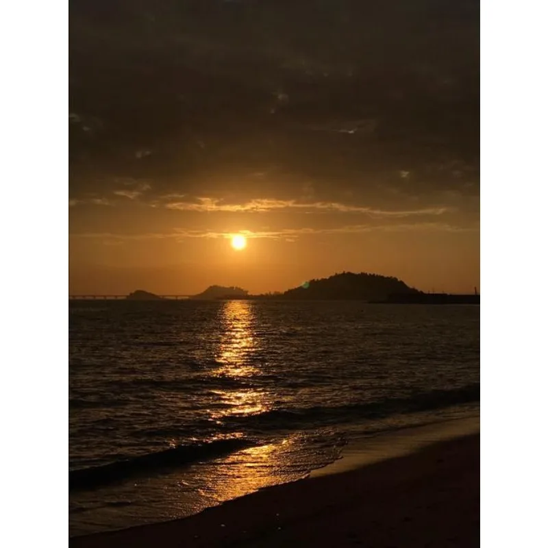 Tiy 5Pcs 12V 24V Ca…