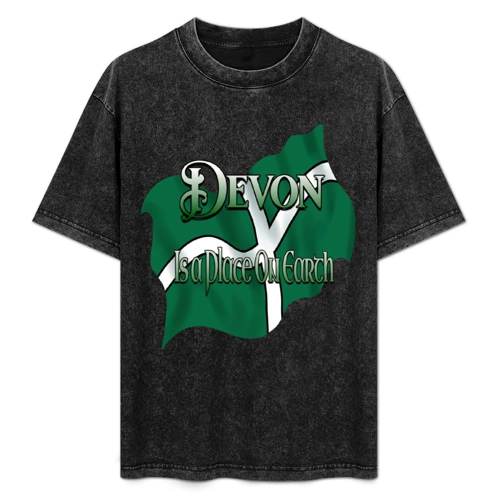 Devon Flag T-Shirt shirts graphic T-shirts oversize korean fashion black t shirts for men