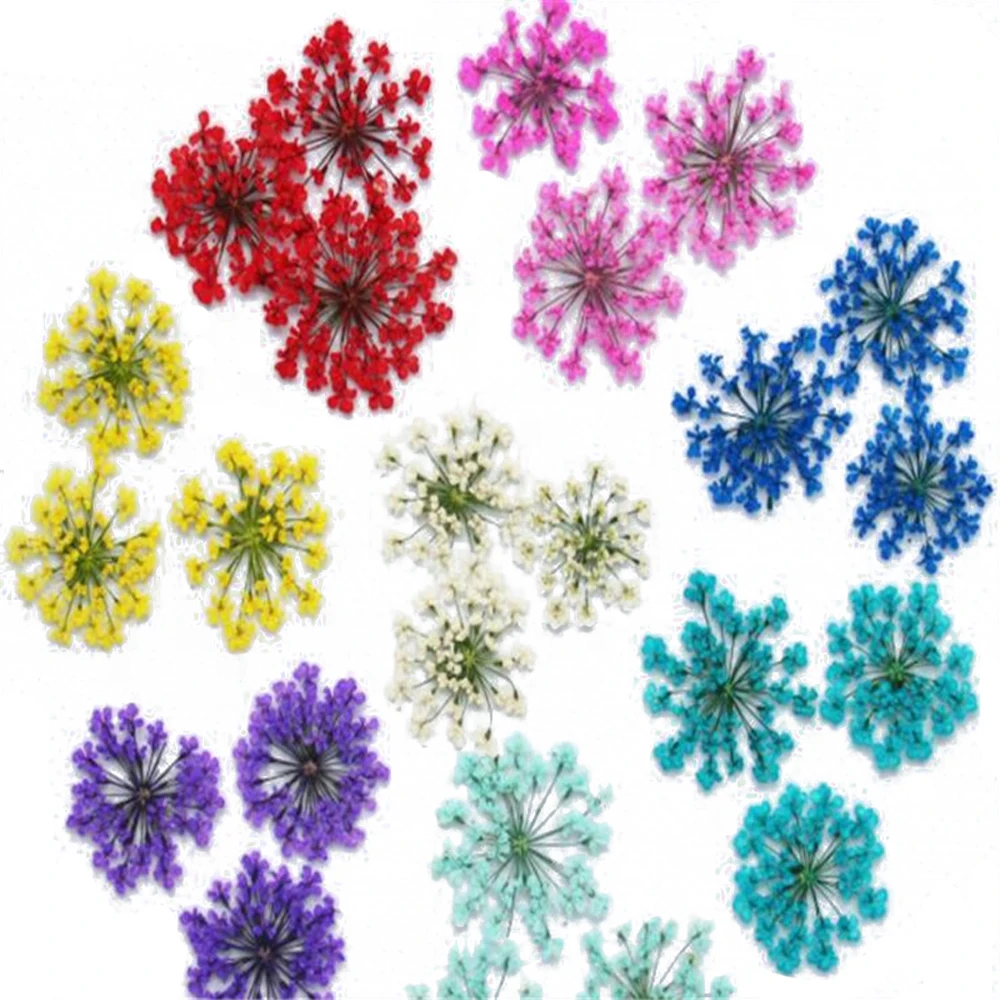 20pcs 1-2cm Dried Flowers Head Dry Daisy Plants for Epoxy Resin Pendant Necklace Jewelry Making Craft DIY Nail Art Accessories