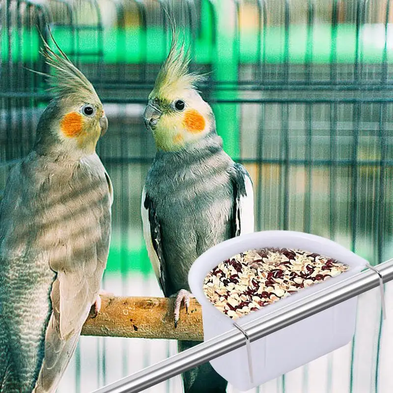 Cuenco de comida para loros, comederos resistentes para pájaros, fácil instalación, para mascotas saludables