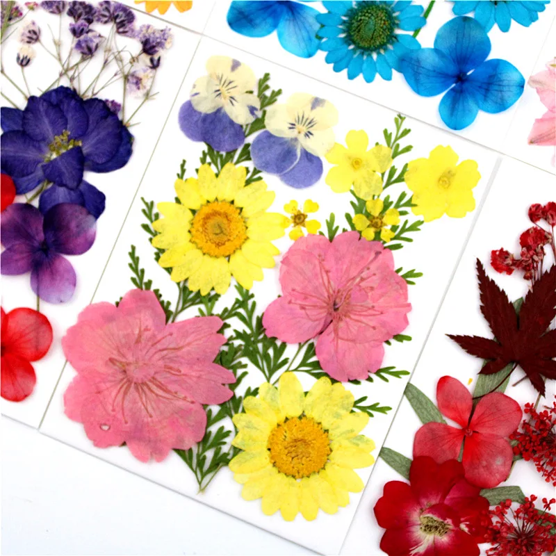 Pressed Flower material bag dried flowers embossed small flower field combination flower-pressing material bag leaf stickers