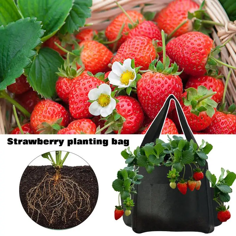 Strawberry Planter Bag 5 Gallon Strawberry Garden Bags Breathable Heavy Duty Cloth Pots With 4 Side Growth Pockets For Plants