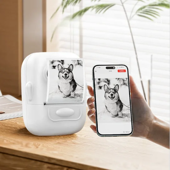

Marklife P50 Mini Wireless Label Maker Home Storage Small Wireless Printer Sticker Machine No Ink Required 57mm Max Paper Stock!
