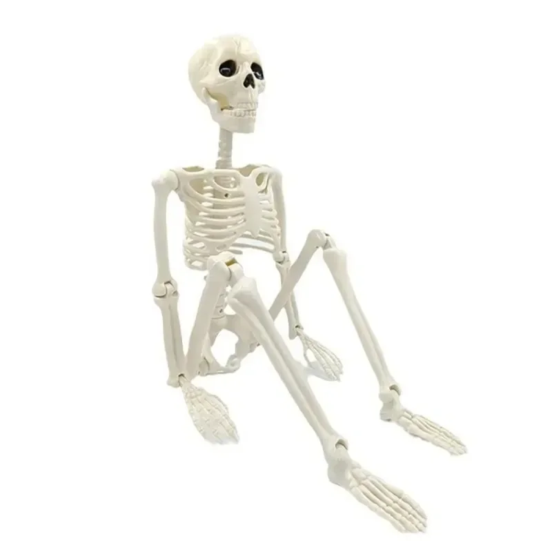 2026-Latest Models High-Quality Skeleton Model Decoration Fake Sculpture for Home Garden Haunted House Decorative Horror Theme