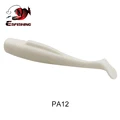 PA12