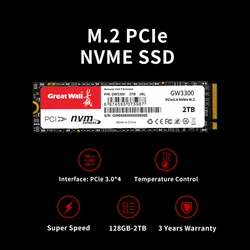 Great Wall-Unidade interna de estado sólido, disco rígido portátil, SSD M.2,128GB,120GB,256GB,240GB,512GB,Nvme,2280mm,PCIe, disc