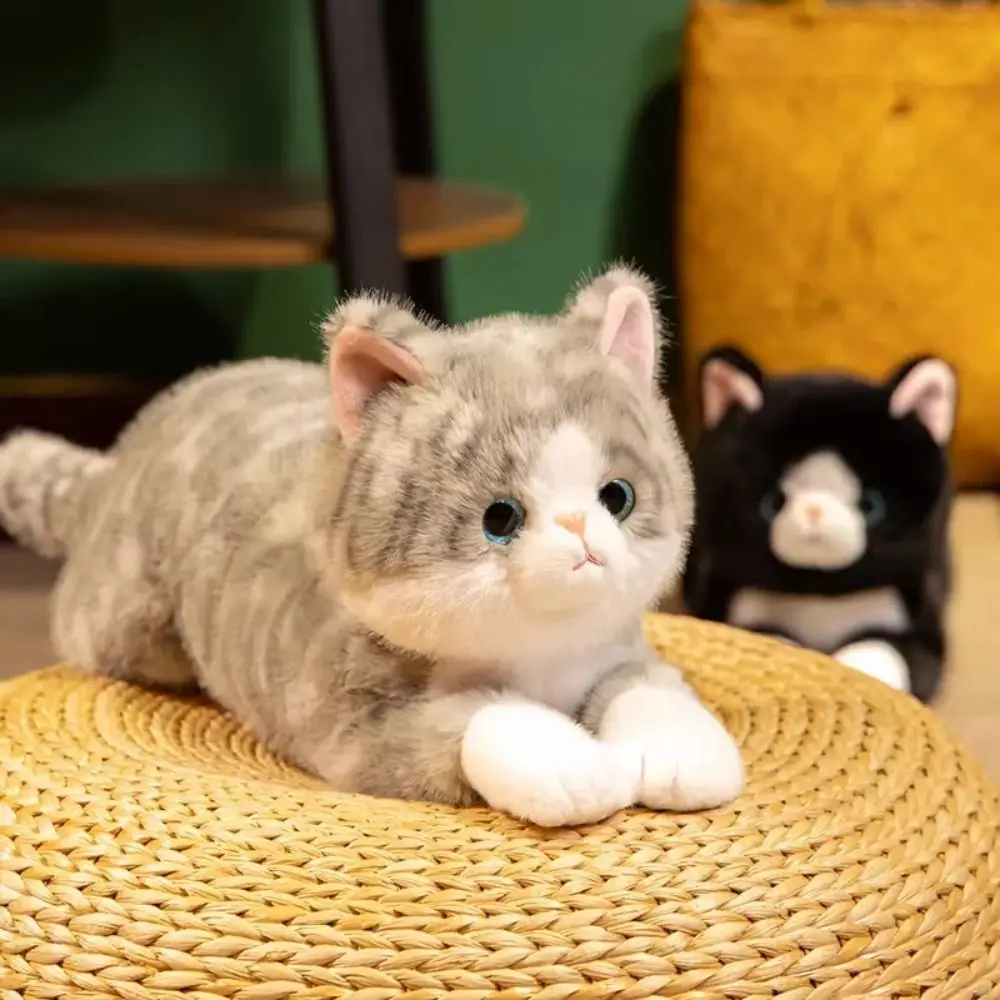 

Милая мягкая плюшевая кошка, пушистая мультяшная игрушка, игрушка для домашнего котенка, подарок