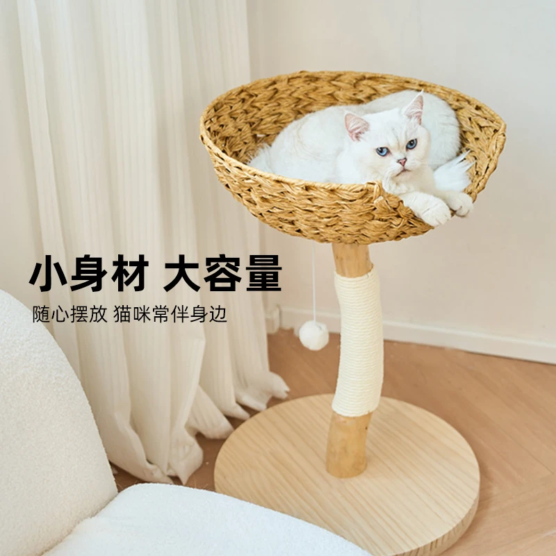 Pet cat tree cat climbing frame small small apartment solid wood rattan wind summer high value