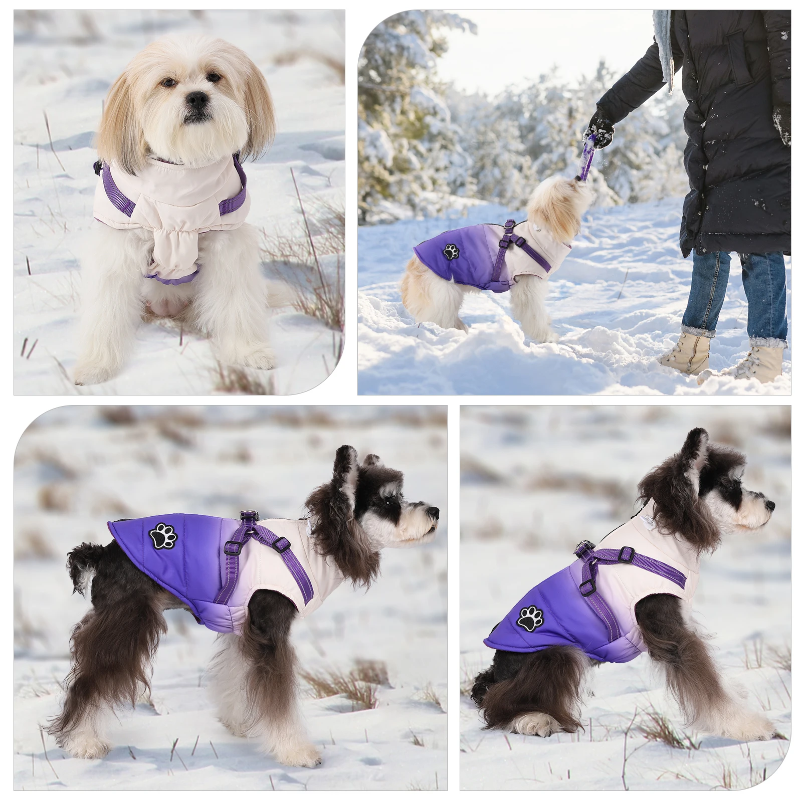 Warm Chihuahua Dog Cat Clothes Winter Small Dogs Puppy Coat Thick Cotton Pet Jacket With Zipper Outfits Clothes With Harness