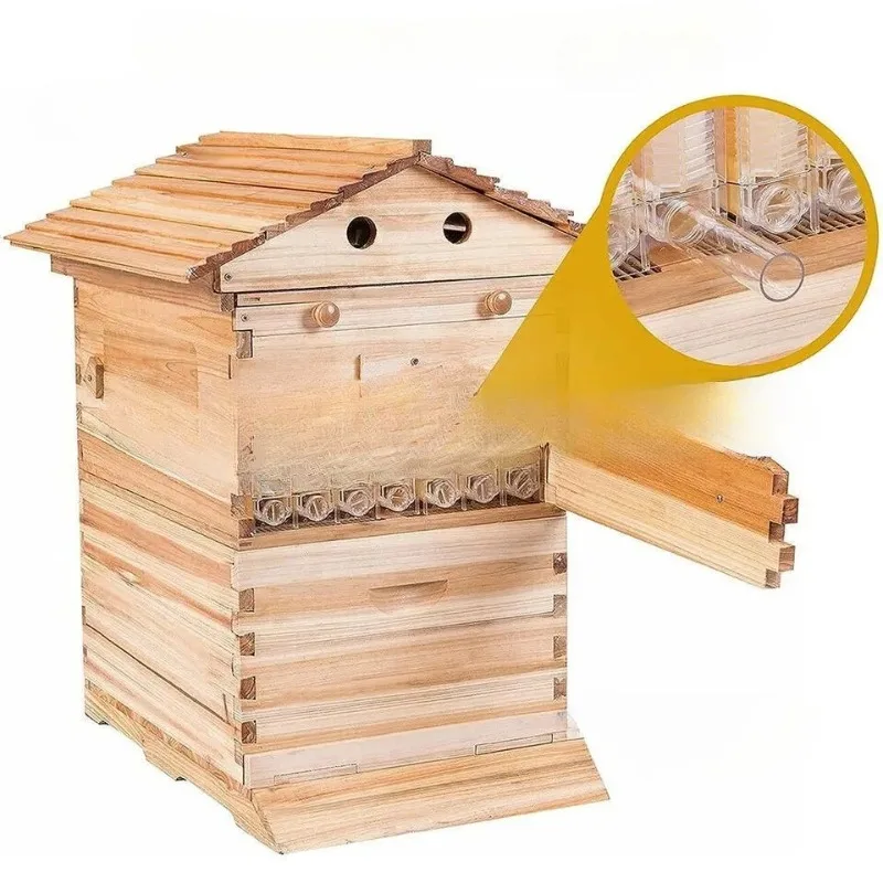 Golden Automatic Hive 2 Beehive 7Pcs Box Flows Frame