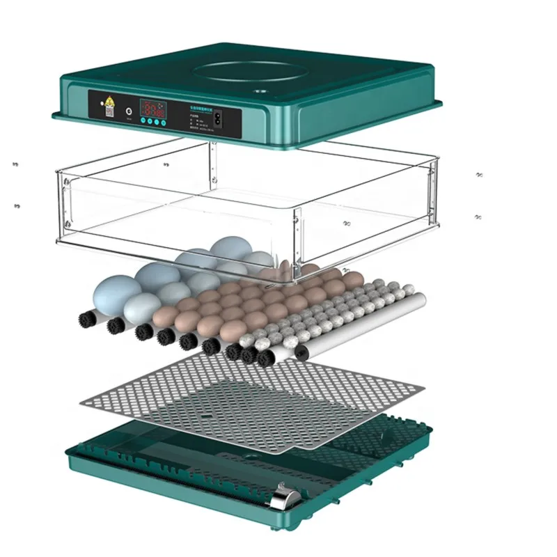 Imagem -05 - Incubadora de Ovos Totalmente Automática Turning Hatching Brooder Farm Bird Quail Chicken Poultry Hatcher Turner 12 24 Ovos