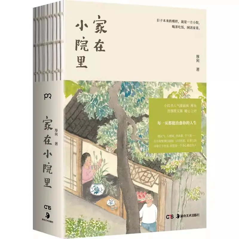 Chinese Style Heartwarming Healing Comic Book Home in a Small Yard by Hou Xian The Human Touch of Old Streets and Alleys