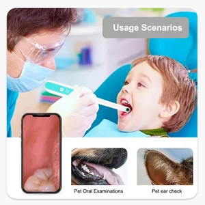 Munduntersuchungskamera für drahtlose Zahnkamera, 1080p, Wi-Fi, IP67, wasserdicht 12 Hauptverkaufsabdeckung Regenkamera WiFi - №12