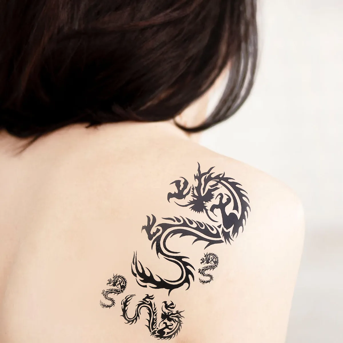 4-adesivos-de-dragao-para-adultos-kawaii-a-prova-d'Agua-criaturas-animais-pretos-transparentes-e-realistas