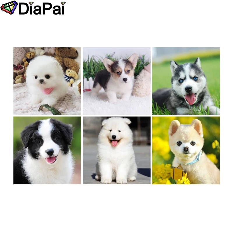 

DIAPAI Diamond Painting 5D DIY Full Square/Round Drill "Animal dog flower" 3D Embroidery Cross Stitch 5D Decor Gift