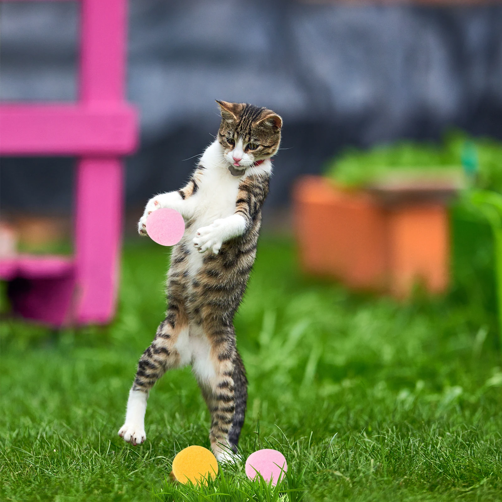 

70 Pcs Cat Ball Interactive Toys Scratching Kitten Balls for Indoor Cats Interaction