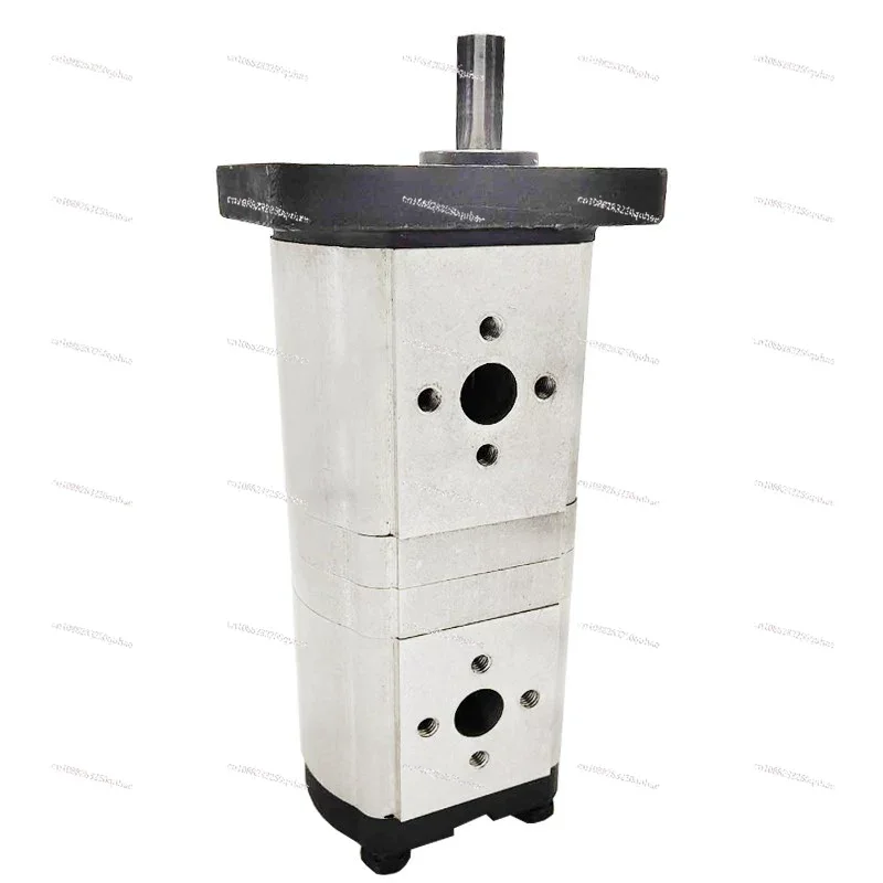 Hydraulic Gear Oil Pump CBN/CBT-G313/E308/F312/F304/F310 Wheel F614 Duplex/Pump