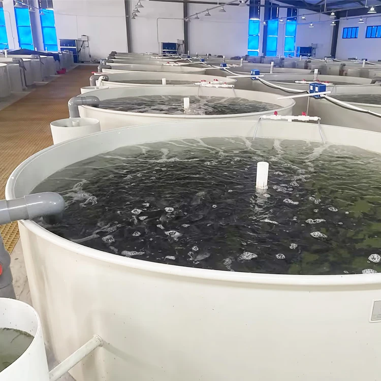 2025Commercial Shrimp Pond for Backyard Crawfish Farming Profitable Aquaculture Equipment