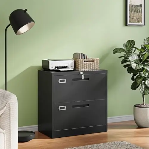 2 Drawer File Cabinet with Lock,Metal Lateral Filing Cabinet for Home Office,Hanging Letter/Legal/A4 Size (Black