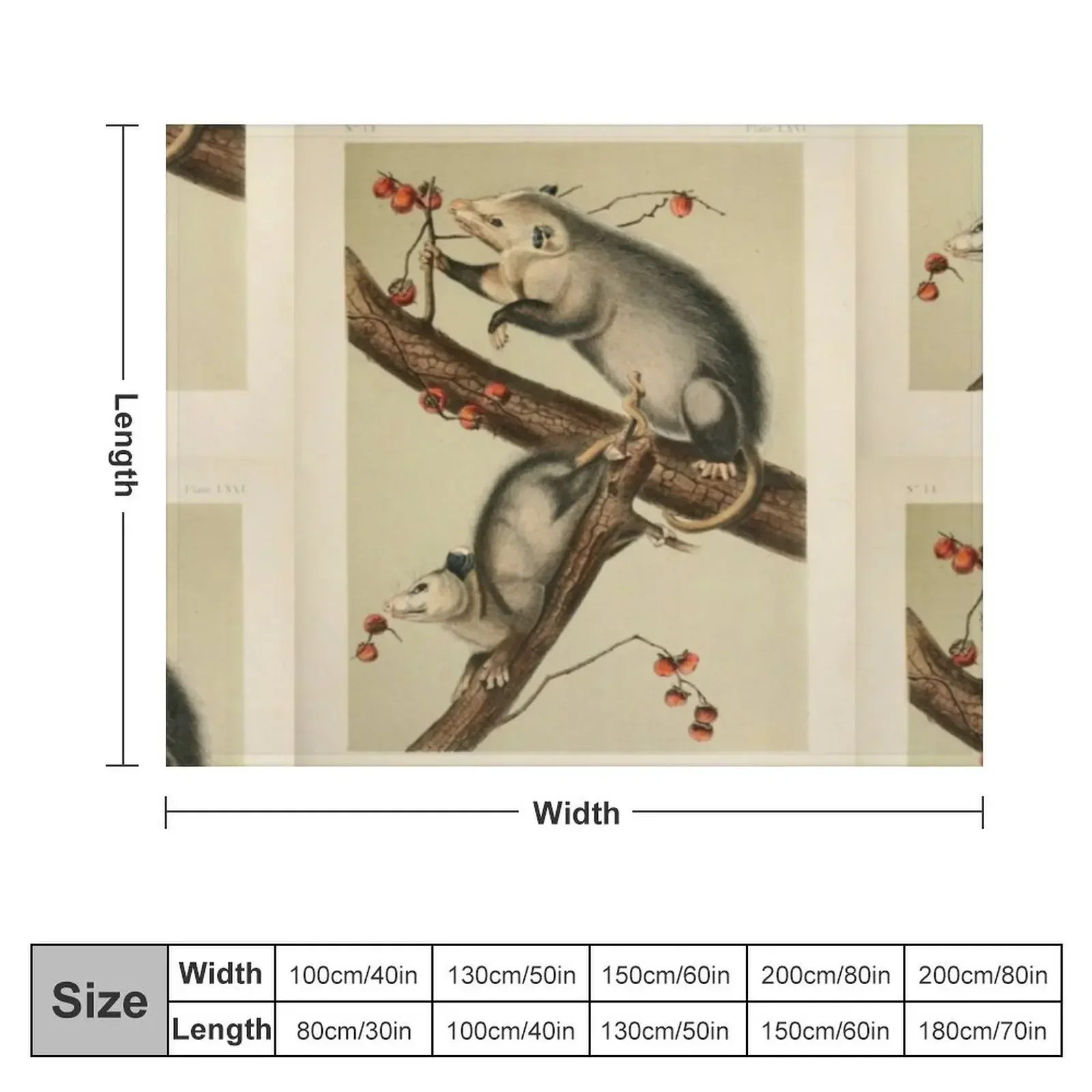 Naturalist Opossum Throw Blanket for babies Softest cosplay anime Sofas Blankets