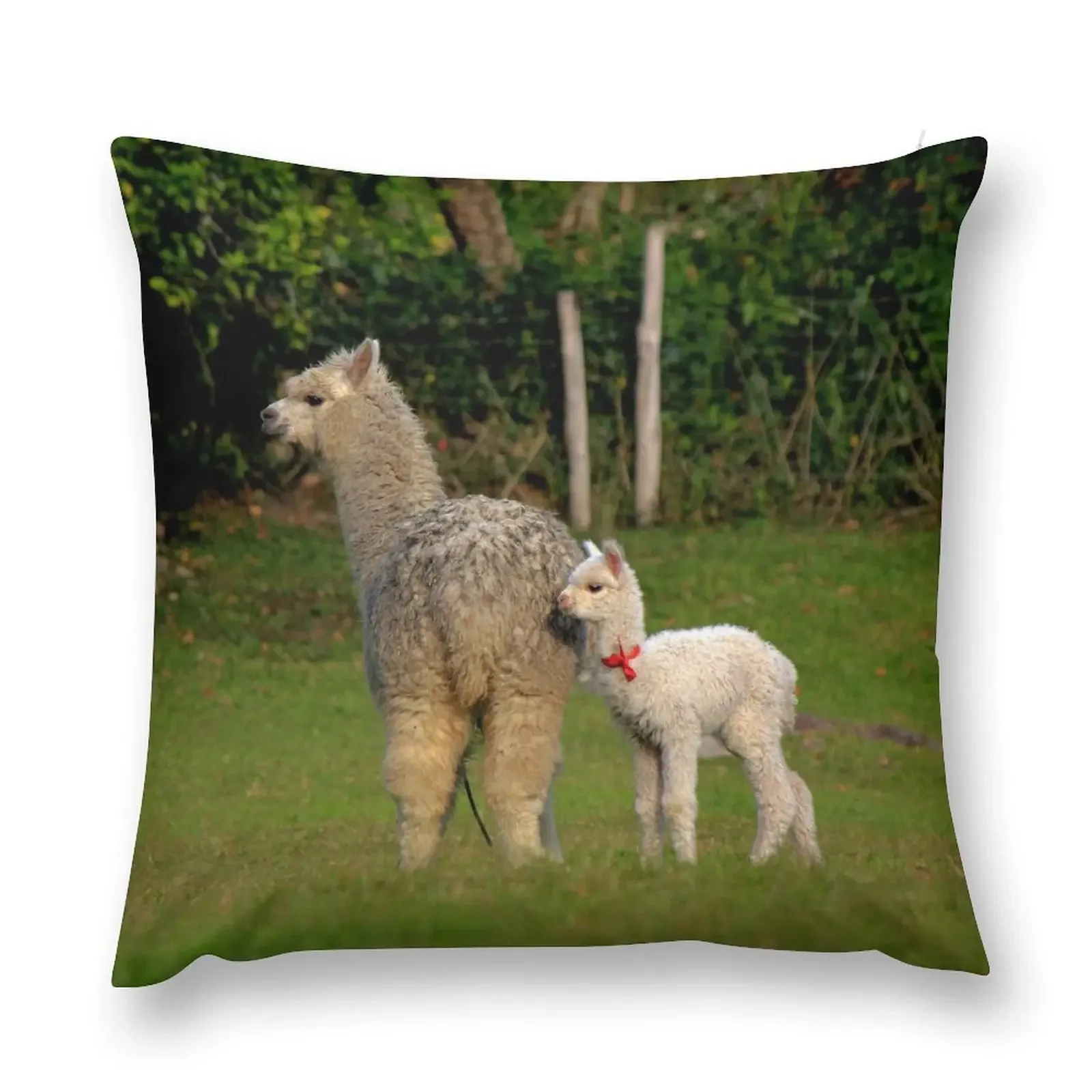 

Alpaca Cuteness Throw Pillow Sofa Cushions Sofa Pillow Cover Sofa Cushion pillow
