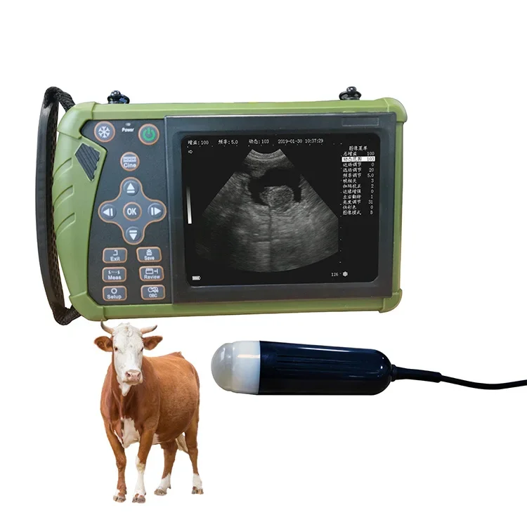 

VET-5 Animal Pregnancy Diagnosis Scanner Portable Pig Large Dog Sheep Ultrasound Machine