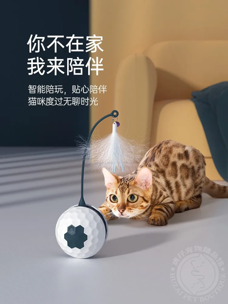 Pussy Cat Swinging Ball Pussy Cat Toy Pussy Cat Stick Self Hi Relaxation Electric Intelligent Bite Resistant Pussy Cat Toy