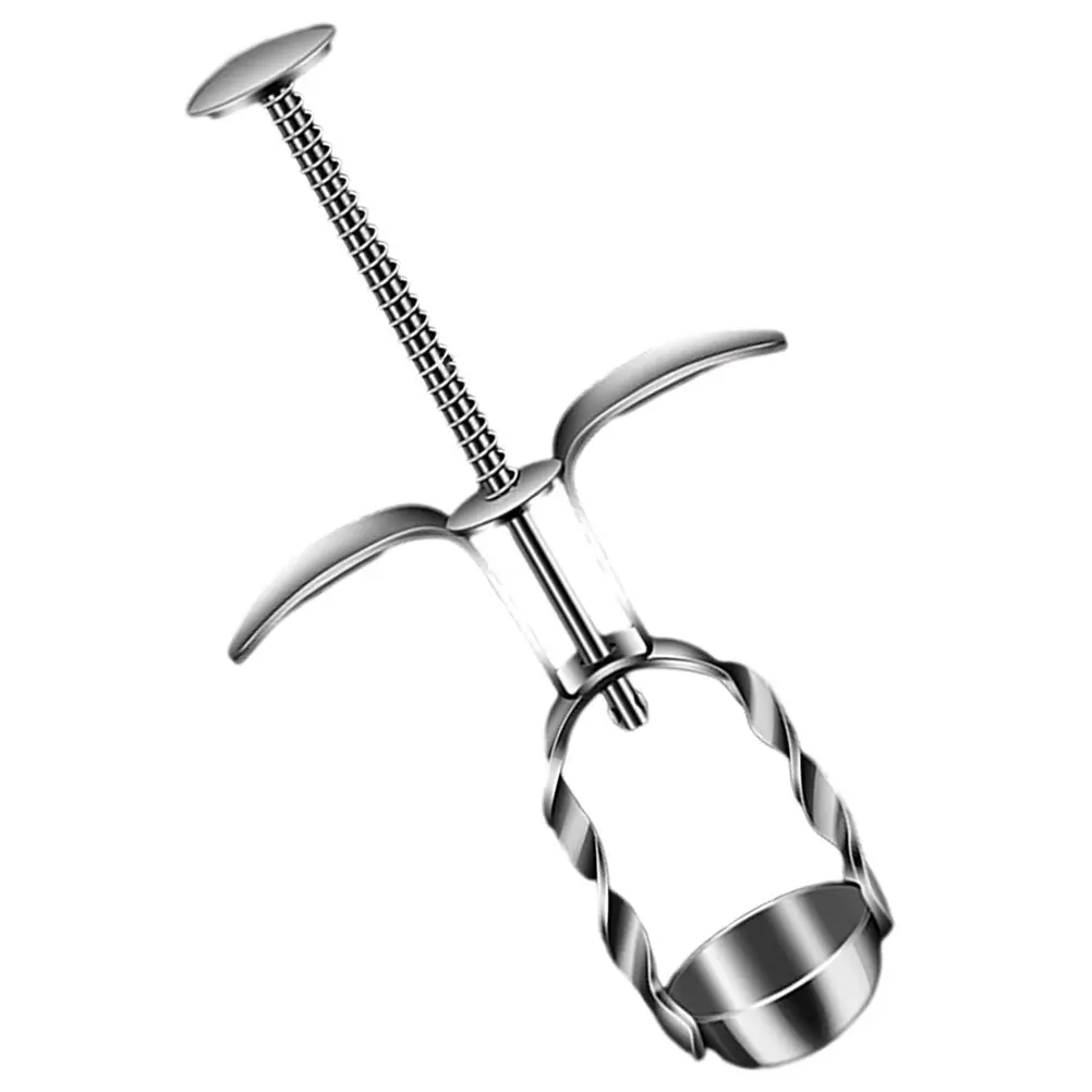 Jujube Pitter Cherry Core Removing Tool Stainless Steel Fruit Pitter Compact Lightweight Kitchen Supplies for Home Travel Use — купить у AliExpress WW