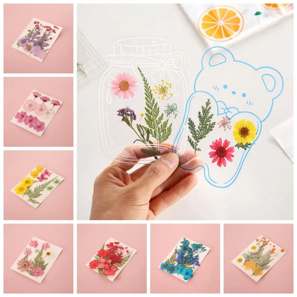 1 Set DIY Dried Flower Bookmarks PET Flower Page Bookmark Multipurpose Scrapbook Decor Plants Specimen Bookmark Student Gift