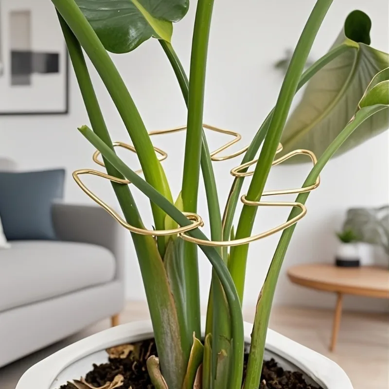 Pflanzenstielstütze, langlebig, Monstera-Stabilisator, Metall-Kletterpflanzentrainer, dekorativer Garten, ideale Pflanzenstütze für Wachstum – Detail 3