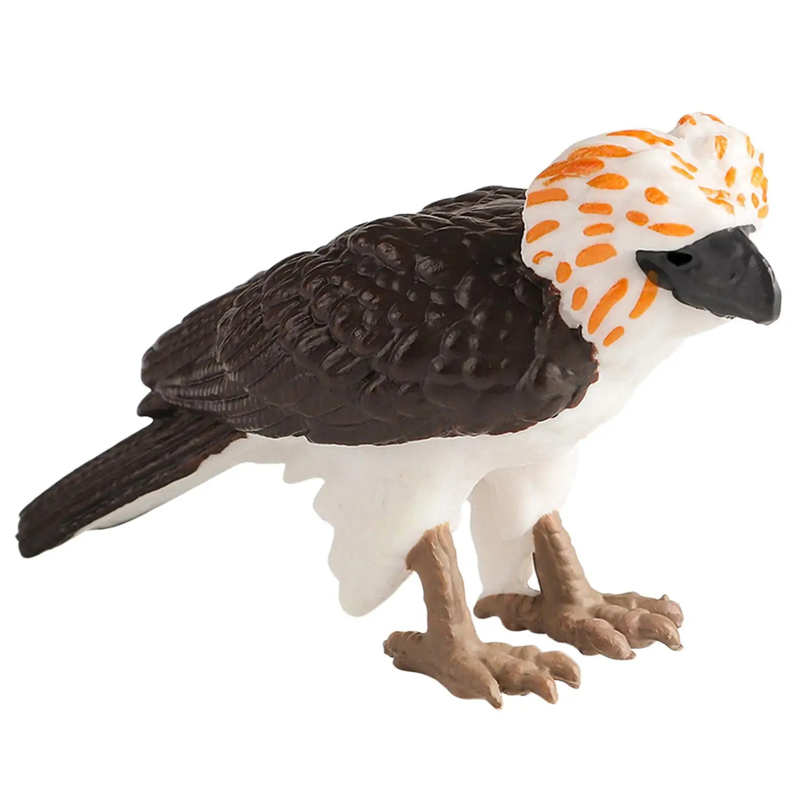 Zestaw symulujący Philippine Eagle Miniaturowe figurki ptaków Zabawka dla dzieci