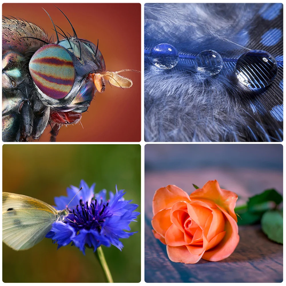 Mcoplus makro elektronik AF penutup otomatis perpanjangan tabung adaptor cincin untuk Nikon kamera DSLR D80 D90 D300 D5600 D800 D850 D500 D750