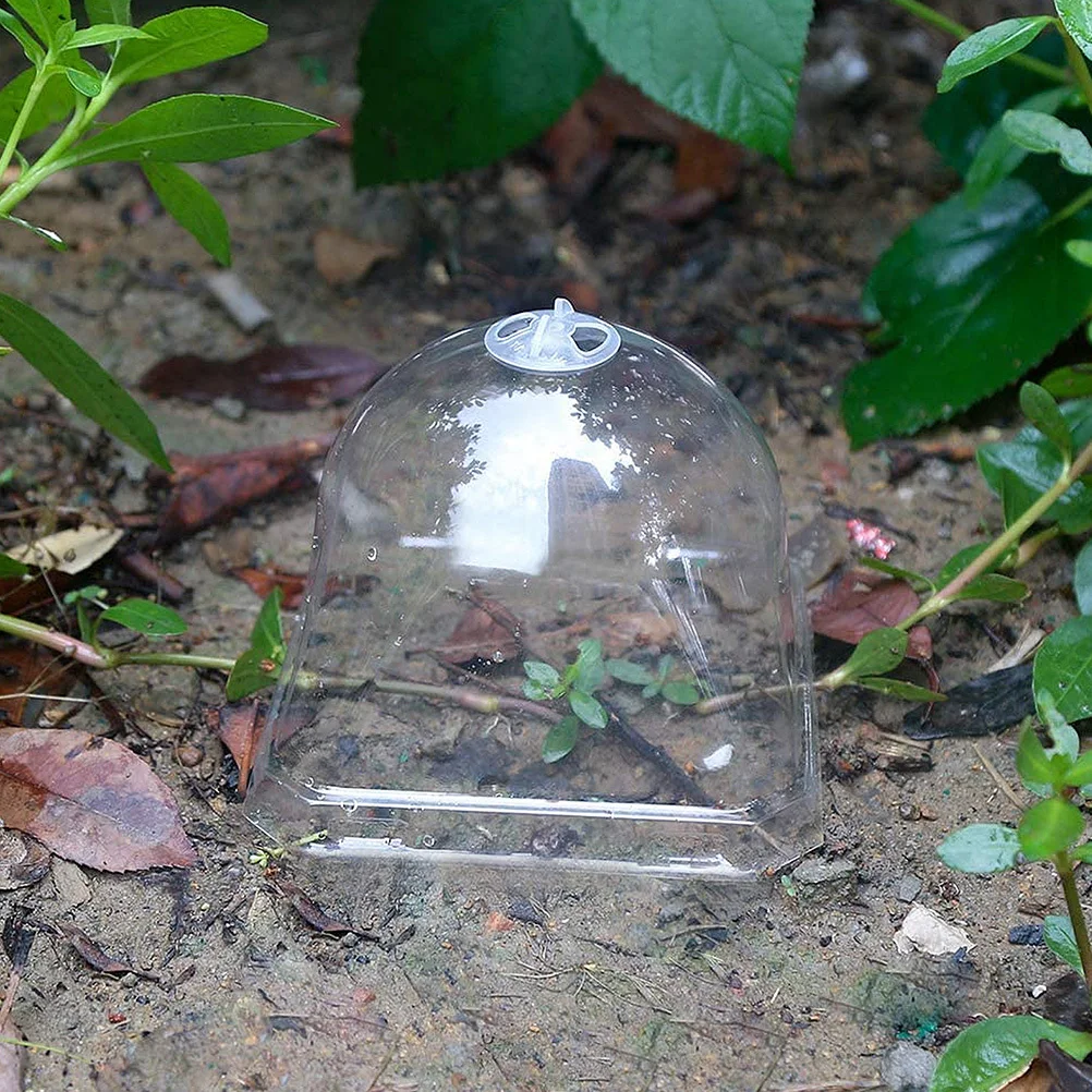 

15Pcs Plant Nursery Cover Transparent Garden Dome Plastic Cloche Adjustable Ventilation Plant Protect Cover Gardening Tool