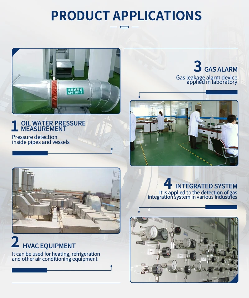 LEFOO Remote Flange Differential Pressure Transmitter Explosion-proof Pressure Transmitter for Industrial Automation